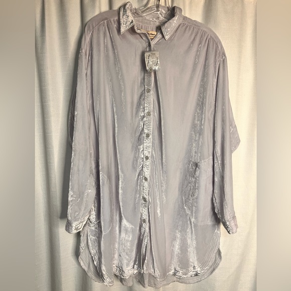 Free People We the Free Sorrento Velvet Maxi Top in Light Grey - Picture 4 of 7